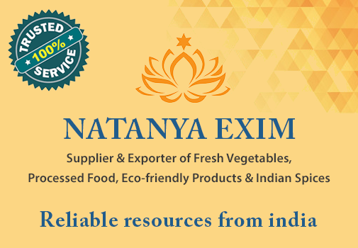 natanya-overview